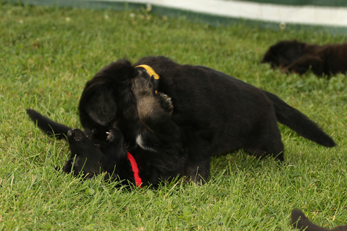 %_tempFileNameIMG_2124%