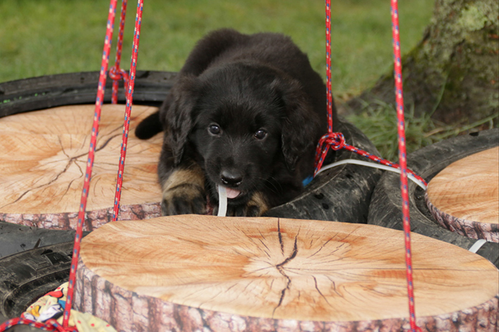 %_tempFileNameIMG_2269%