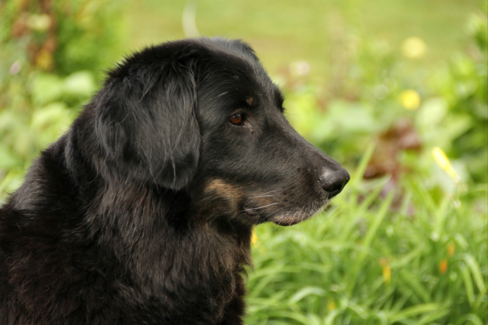 %_tempFileNameIMG_2271%