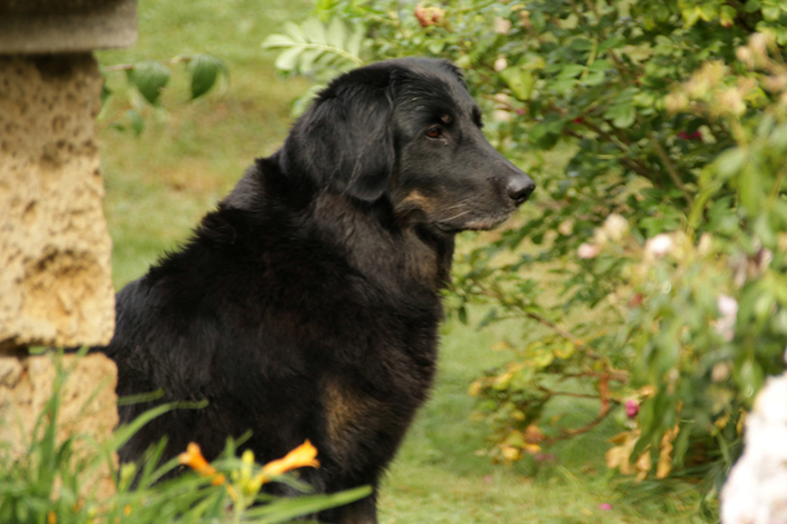 %_tempFileNameIMG_2275%