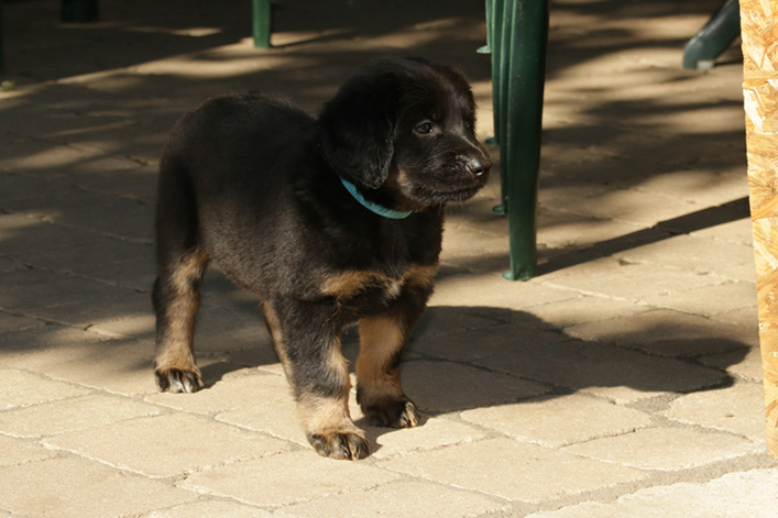 %_tempFileNameIMG_2327%