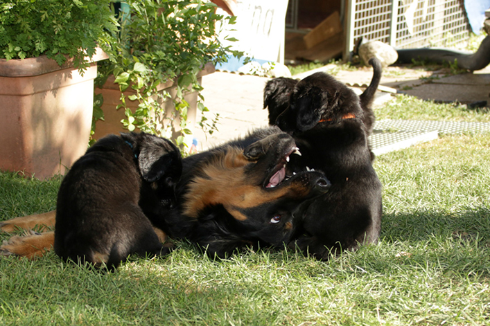 %_tempFileNameIMG_2336%