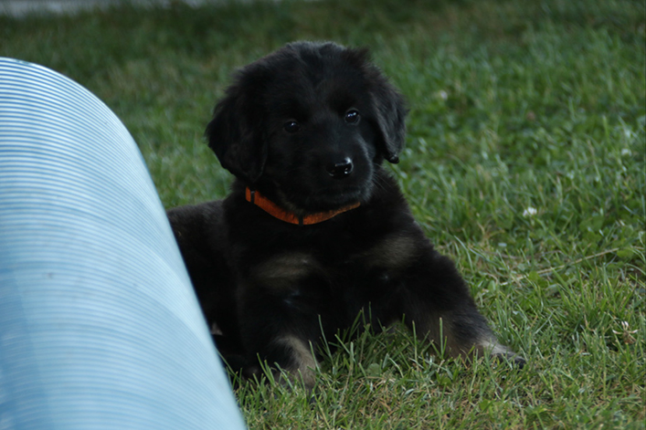 %_tempFileNameIMG_2344%