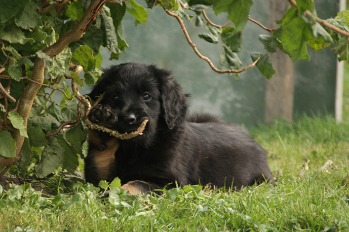 %_tempFileNameIMG_2364%