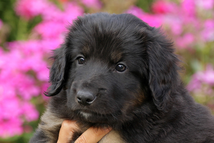 %_tempFileNameIMG_2401%