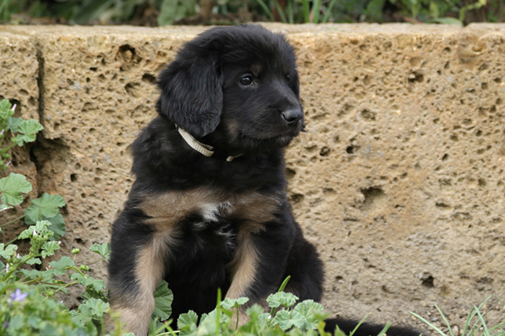 %_tempFileNameIMG_2403%