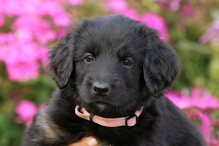 %_tempFileNameIMG_2421%