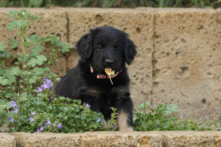 %_tempFileNameIMG_2435%