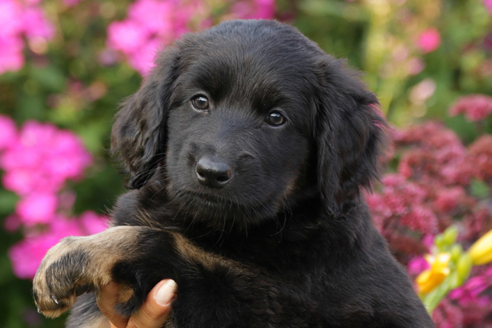 %_tempFileNameIMG_2447%