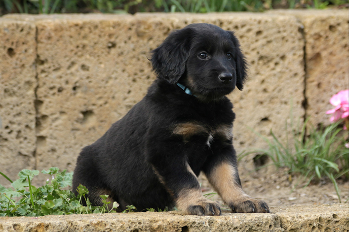 %_tempFileNameIMG_2456%