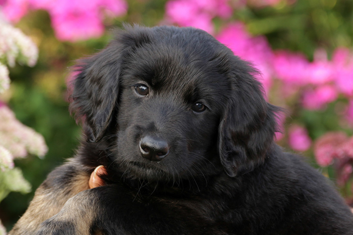 %_tempFileNameIMG_2468%