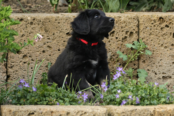 %_tempFileNameIMG_2481%