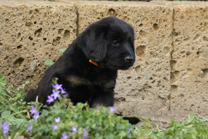 %_tempFileNameIMG_2493%