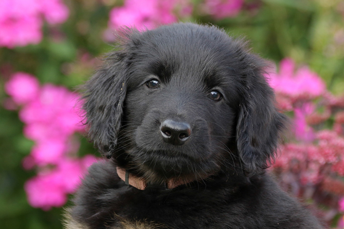 %_tempFileNameIMG_2518%