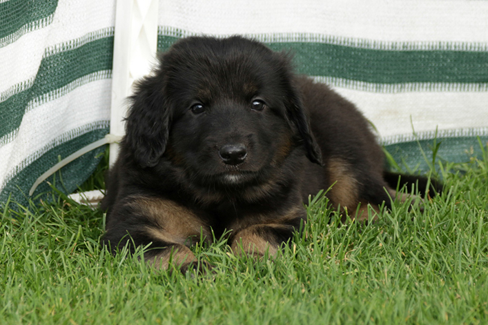 %_tempFileNameIMG_2521%