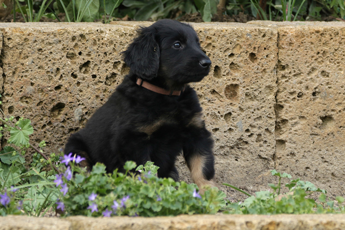 %_tempFileNameIMG_2523%