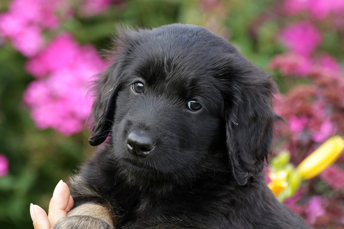 %_tempFileNameIMG_2544%