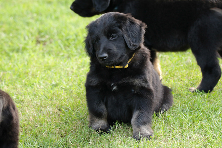 %_tempFileNameIMG_2573%