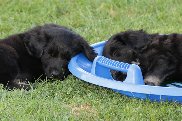 %_tempFileNameIMG_2586%