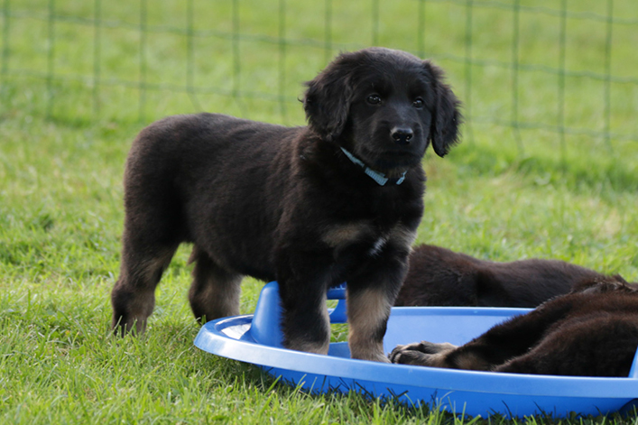 %_tempFileNameIMG_2596%