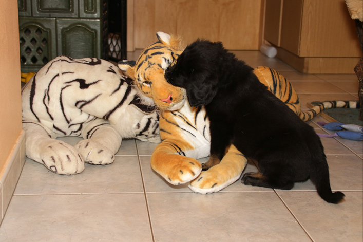 %_tempFileNameIMG_2686%