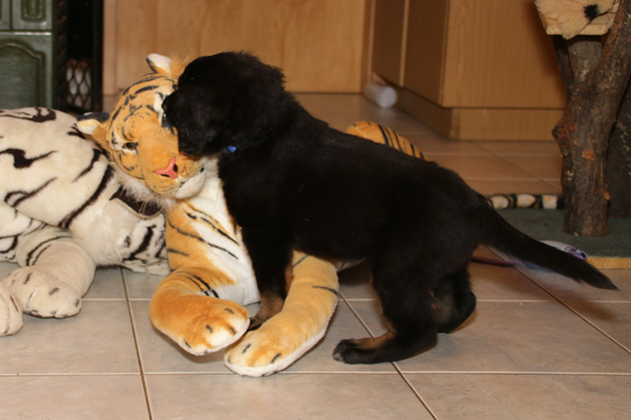 %_tempFileNameIMG_2687%