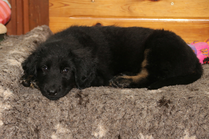 %_tempFileNameIMG_2696%