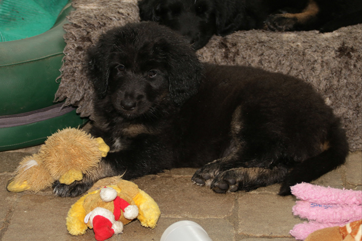 %_tempFileNameIMG_2697%