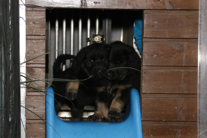 %_tempFileNameIMG_2721%