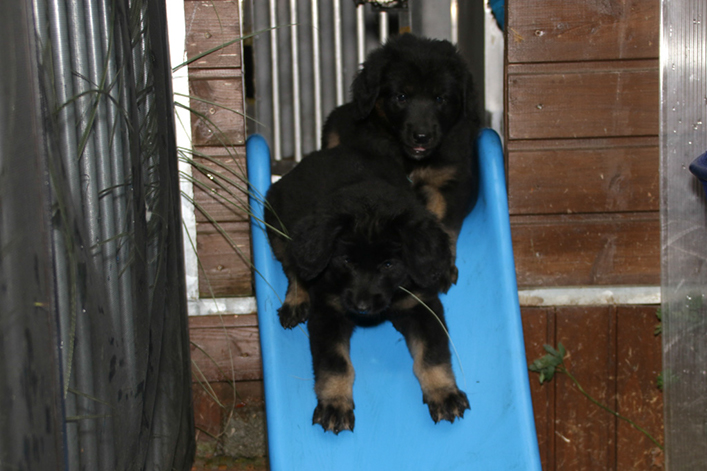 %_tempFileNameIMG_2723%