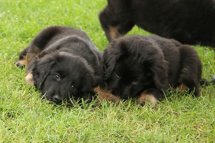 %_tempFileNameIMG_2757%