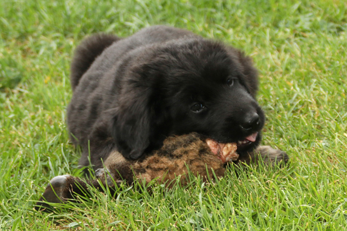 %_tempFileNameIMG_2769%