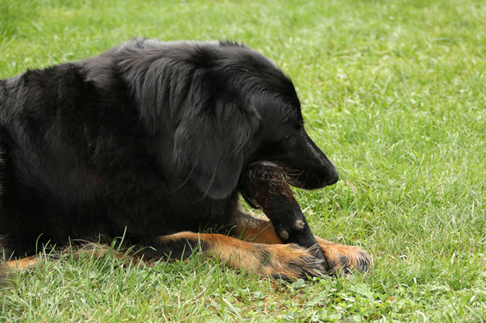 %_tempFileNameIMG_2775%