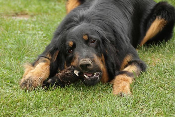 %_tempFileNameIMG_2779%