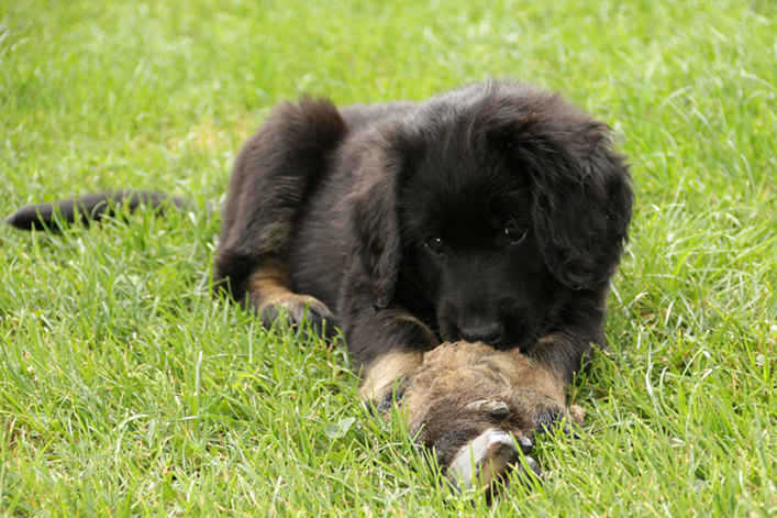 %_tempFileNameIMG_2780%