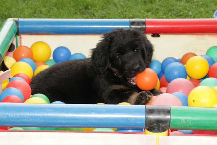 %_tempFileNameIMG_2790%