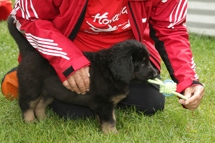 %_tempFileNameIMG_2824%