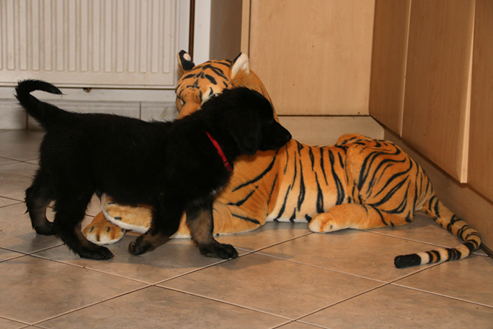 %_tempFileNameIMG_2825%