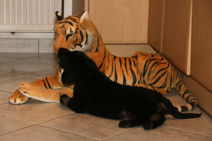 %_tempFileNameIMG_2826%