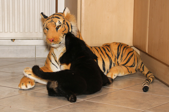 %_tempFileNameIMG_2836%