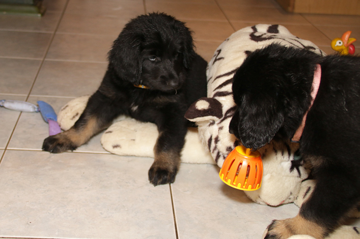 %_tempFileNameIMG_2848%