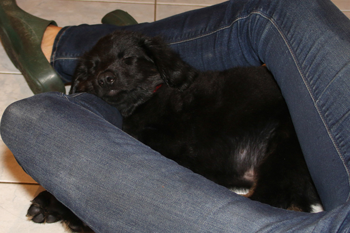 %_tempFileNameIMG_2852%