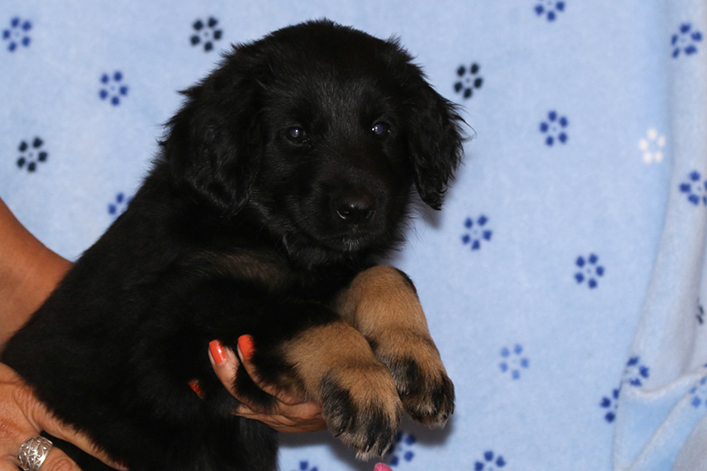 %_tempFileNameIMG_2879%