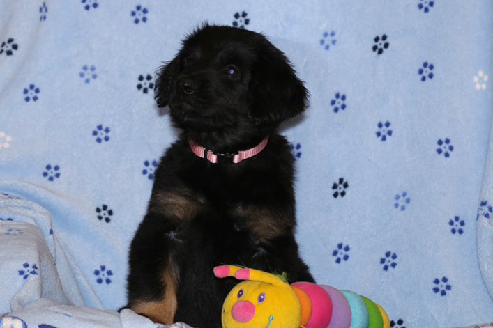 %_tempFileNameIMG_2890%