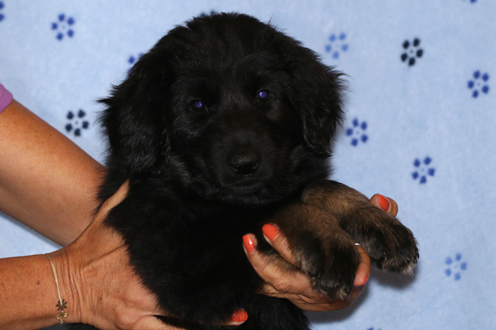 %_tempFileNameIMG_2896%