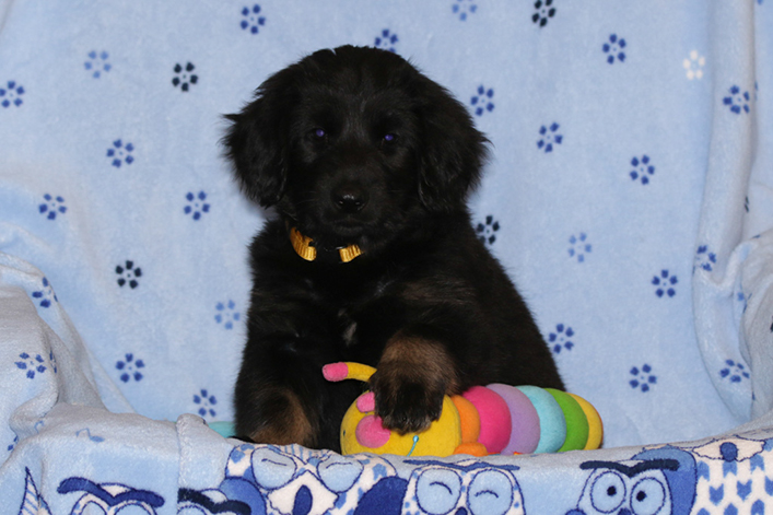 %_tempFileNameIMG_2900%