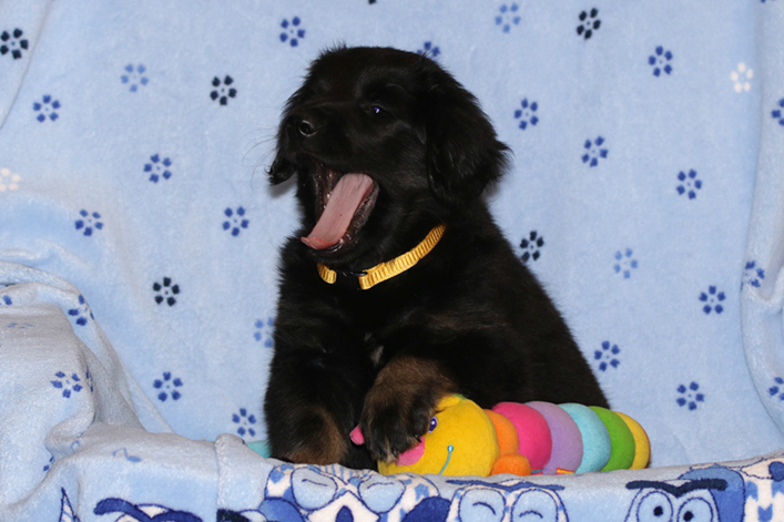 %_tempFileNameIMG_2901%