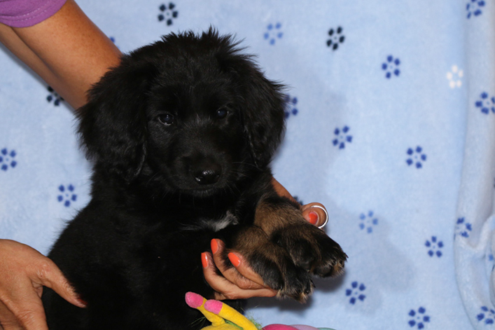 %_tempFileNameIMG_2905%