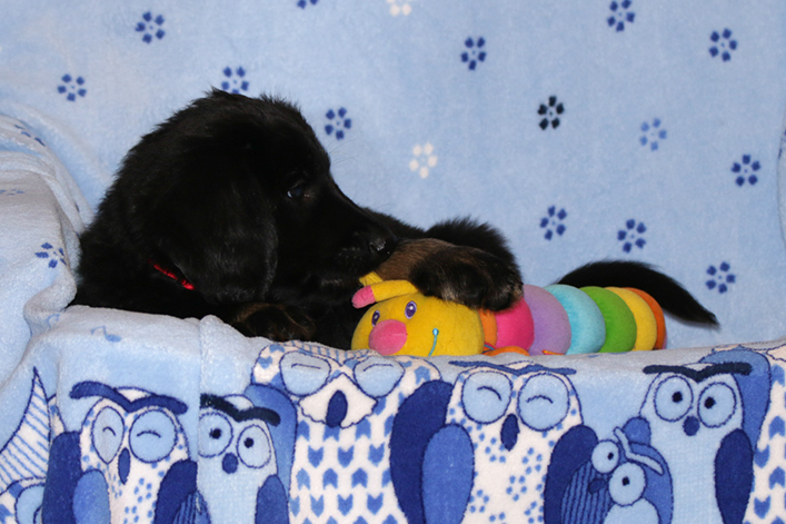 %_tempFileNameIMG_2915%