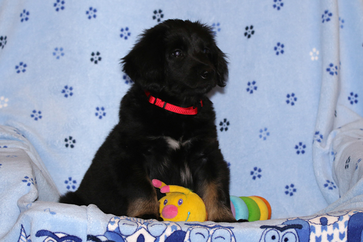 %_tempFileNameIMG_2916%